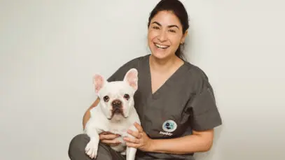 atendimento domiciliar de pets