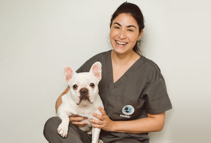 atendimento domiciliar de pets
