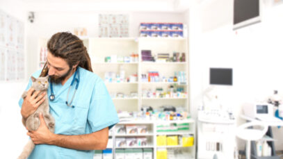 medicamentos veterinários