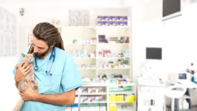 medicamentos veterinários