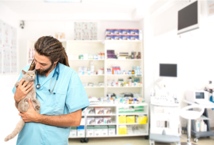 medicamentos veterinários