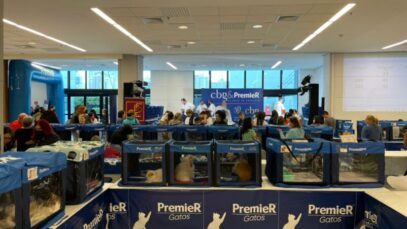 evento felino