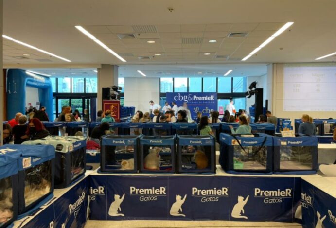evento felino