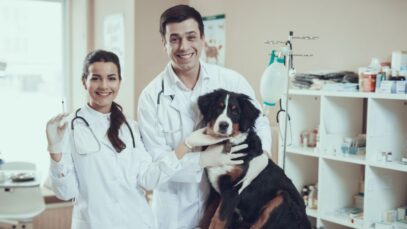 Saúde Animal