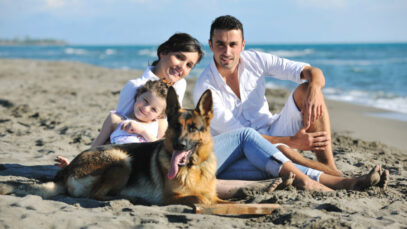 seguro para pets