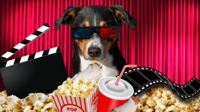 filmes de cachorro