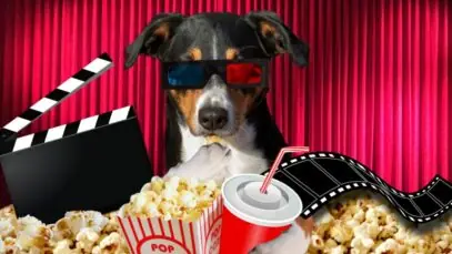 filmes de cachorro