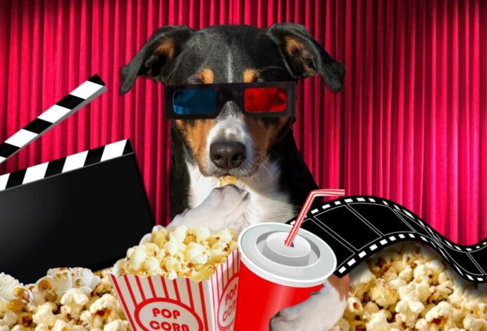filmes de cachorro
