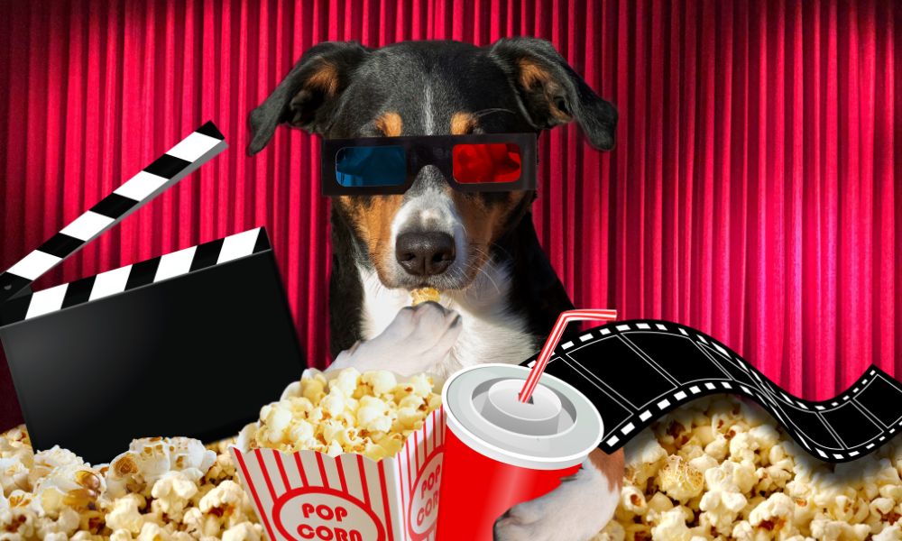 filmes de cachorro