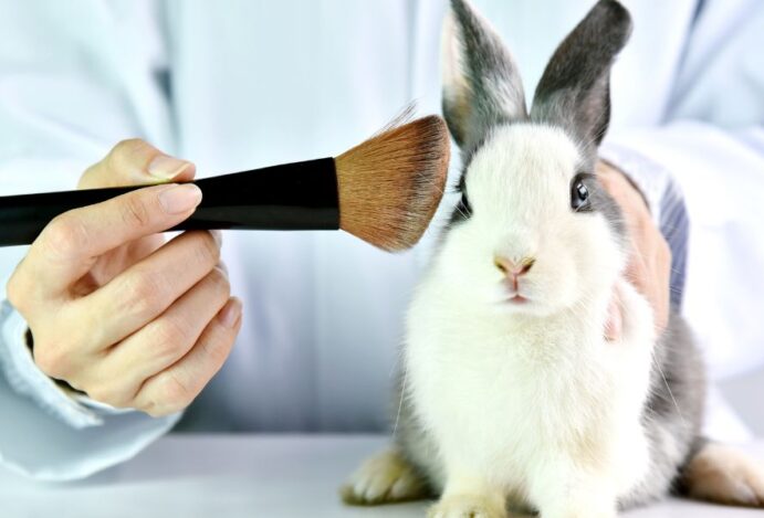 testes em animais para cosméticos