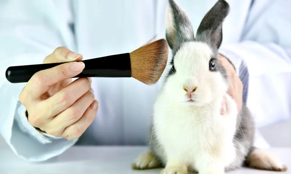 testes em animais para cosméticos