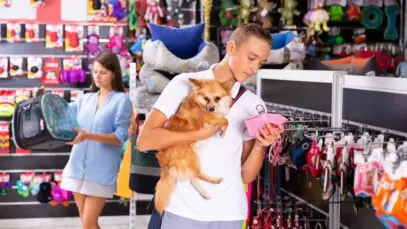 Crescimento em 4 patas: Sindan indica expansão de 15% para o mercado Pet em 2023 e 2024