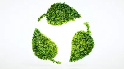 sustentabilidade