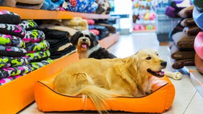 Rede de franquias de pet shop planeja abrir 30 unidades até o final de 2023