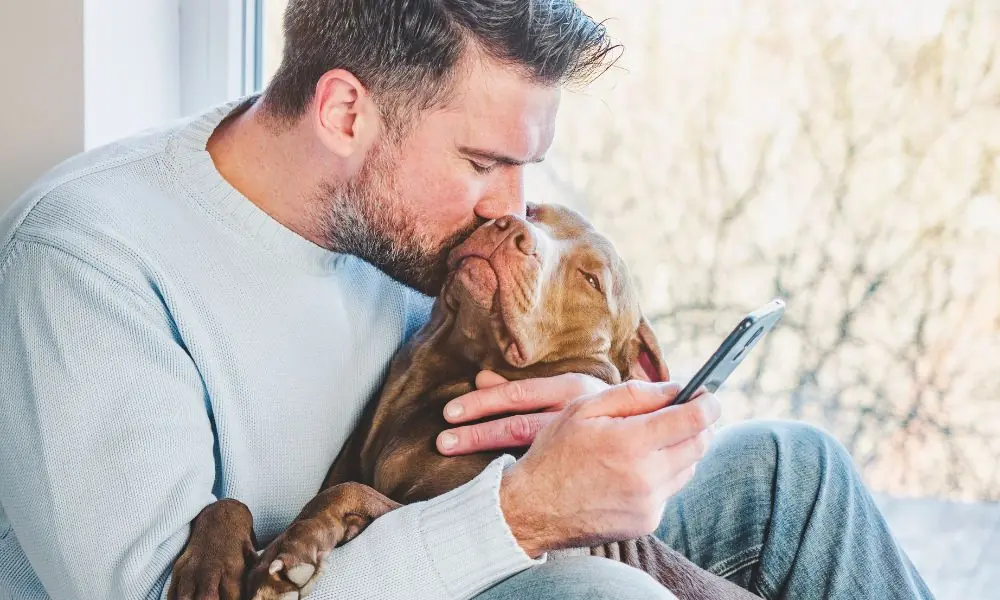 pet