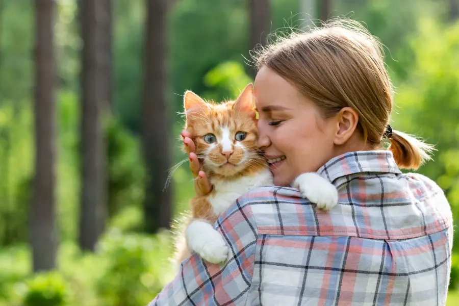 Pet