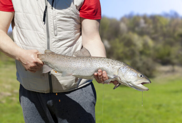 Ração para peixes