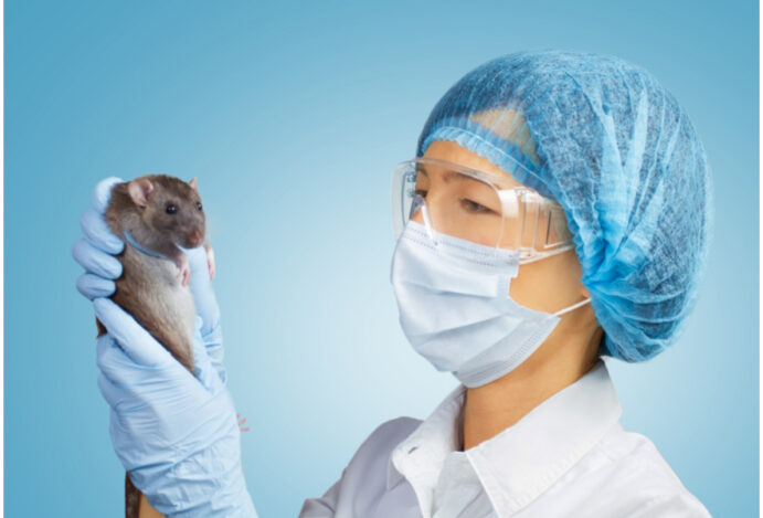 uso de animais em testes