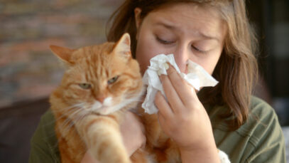 Alergia a gato não impede tutor de convívio saudável com o pet