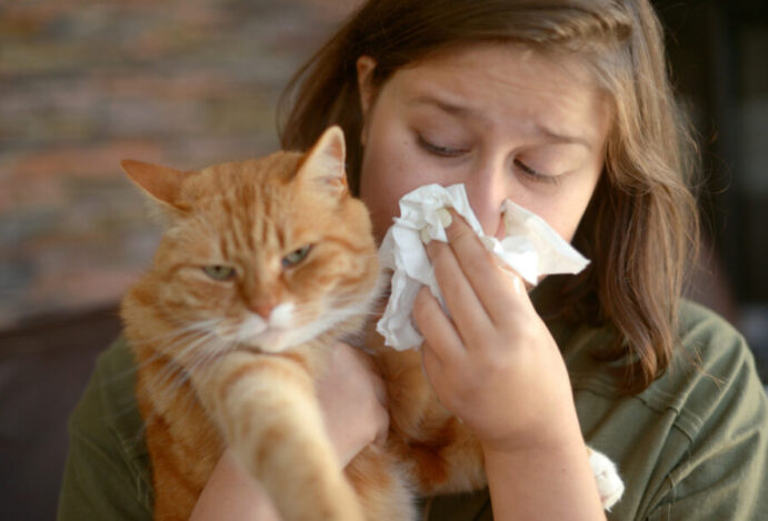 Imagem relacionada a: Alergia a gato não impede tutor de convívio saudável com o pet