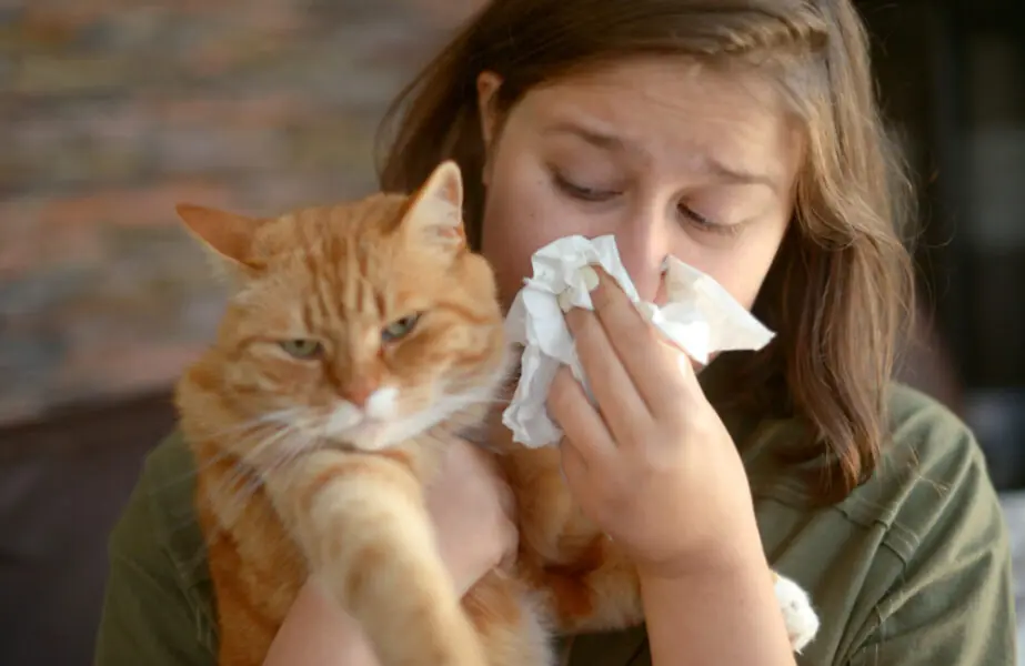 alergia a gato Alergia a gato