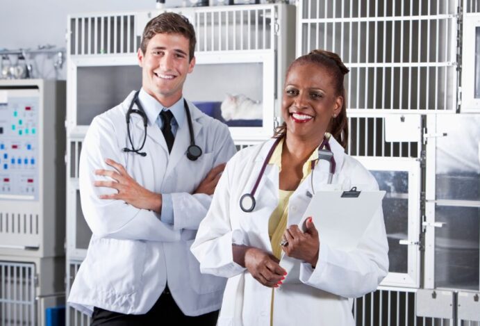 médicos-veterinários