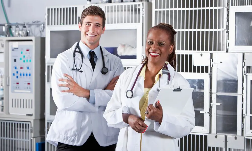 médicos-veterinários