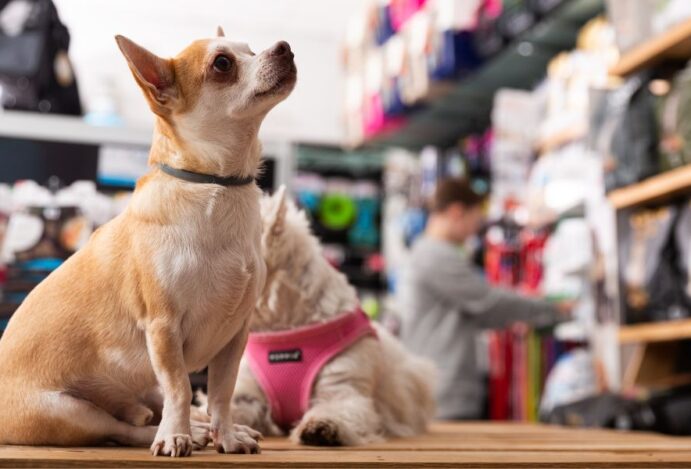 Mercado pet
