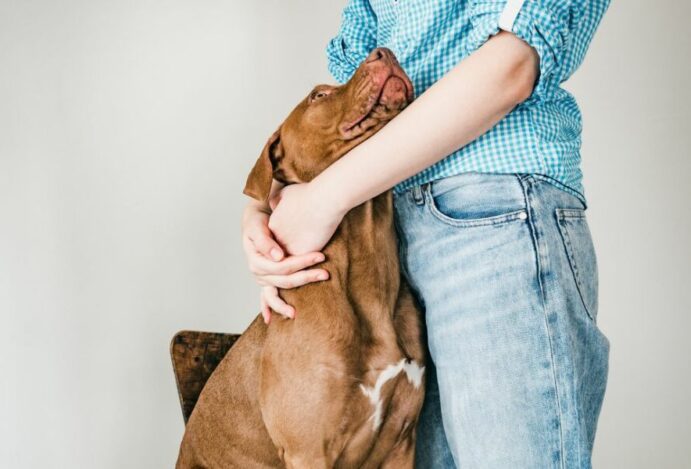 Imagem relacionada a: Centro veterinário WeVets otimiza a operação em até 40% com apoio da Beyondsoft Brasil
