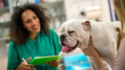 Centro veterinário
