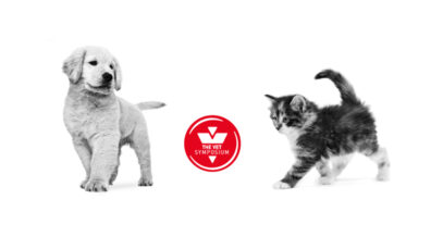 Vet Symposium 2023