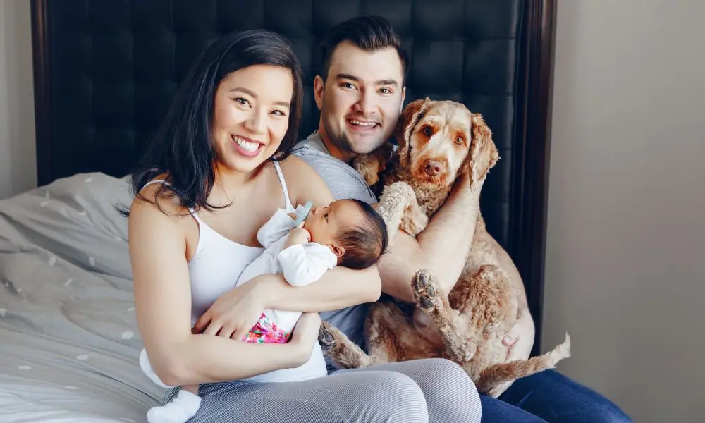 Pet e bebê