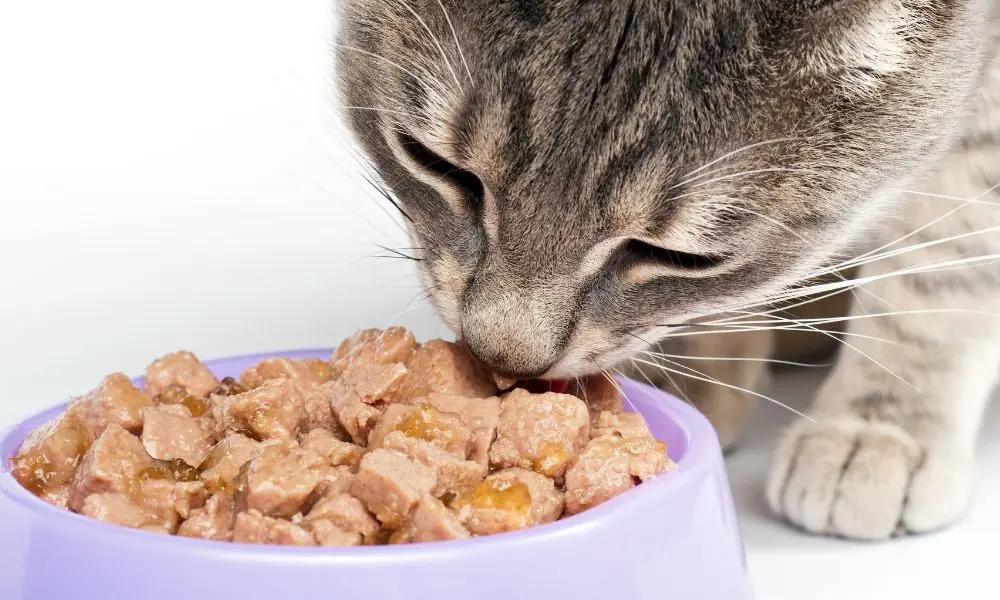alimentos