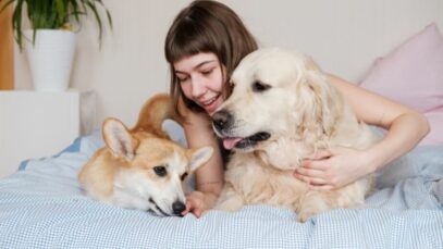 Design sem nome – 2023-05-11T124424.313 Riscos de dormir com cães no inverno