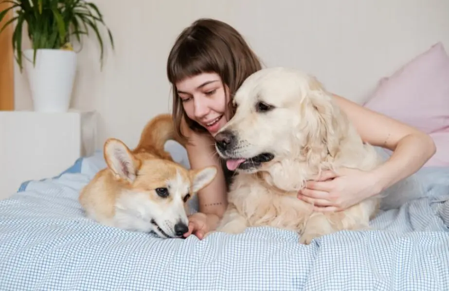 Design sem nome – 2023-05-11T124424.313 Dormir com cães