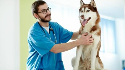 assistência