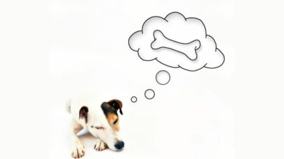 Design sem nome (10) Sonhar com cachorro
