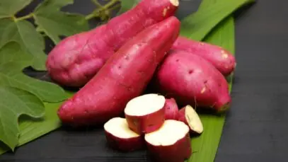 Batata doce