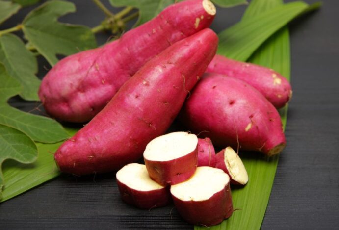 Batata doce
