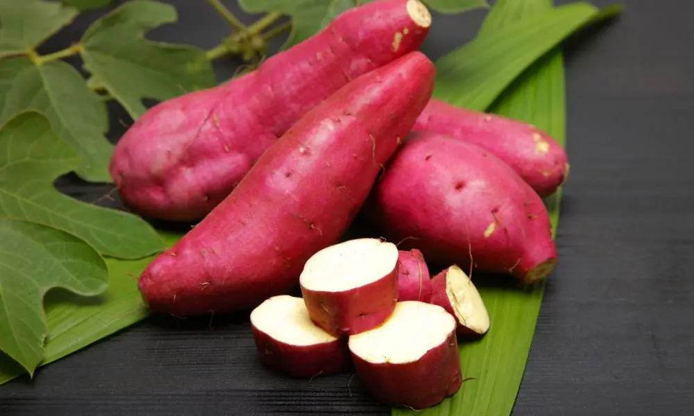 Batata doce