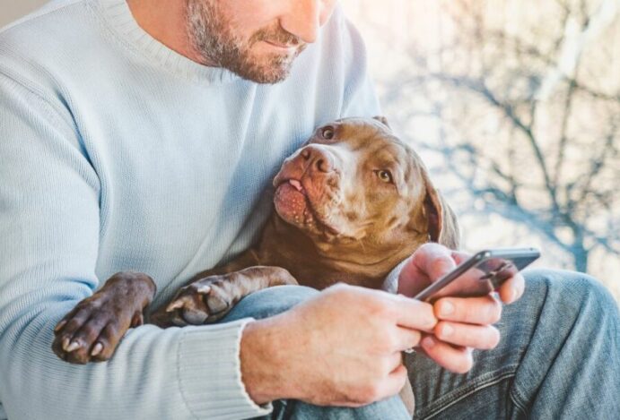 Gastos médios dos tutores