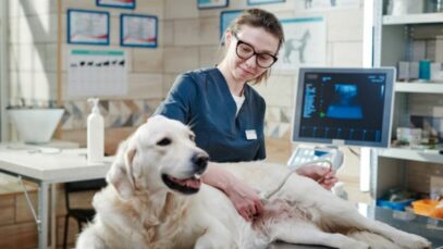 Indústria veterinária