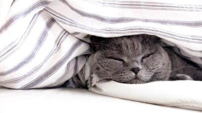 inverno