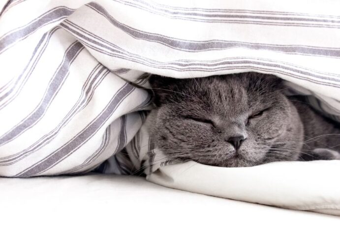 inverno