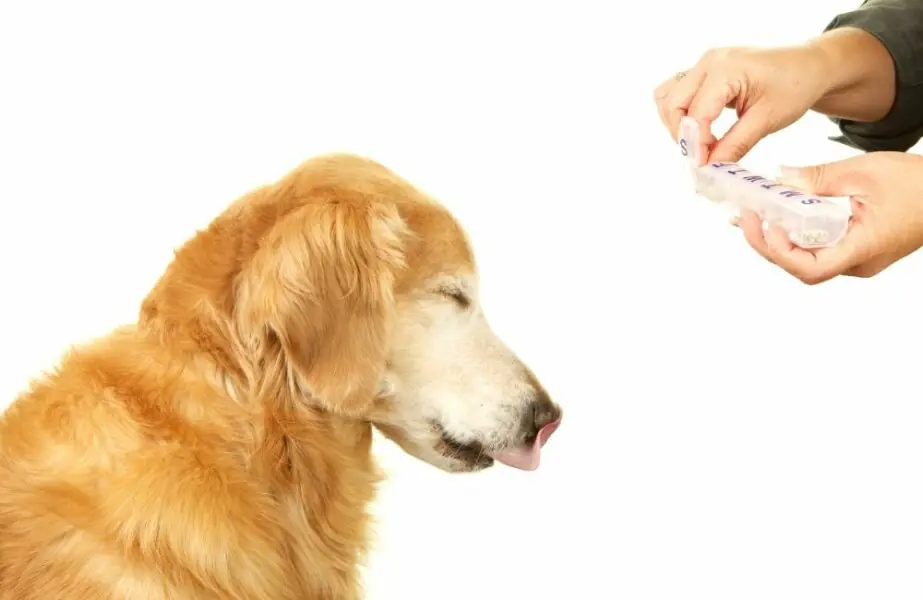 Design sem nome (38) ômega 3 para cachorro