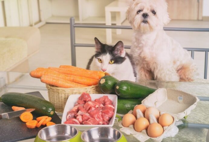 alimentação natural para pets