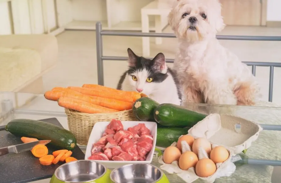 alimentação natural para pets