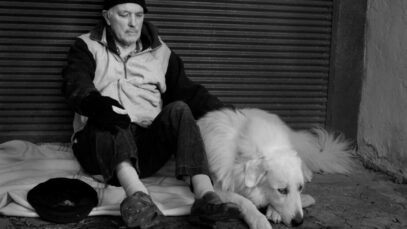 Design sem nome (52) Pet Society