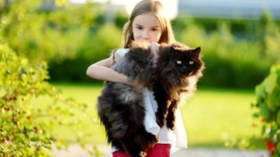 Design sem nome (58) Gatos gigantes