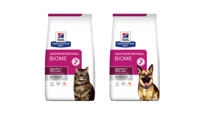 Cães e gatos